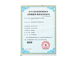 Computer software copyright registration certificate